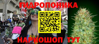 герыч Будённовск