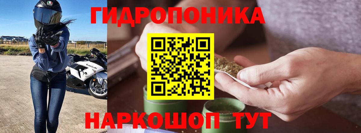 Каннабис сатива Владивосток